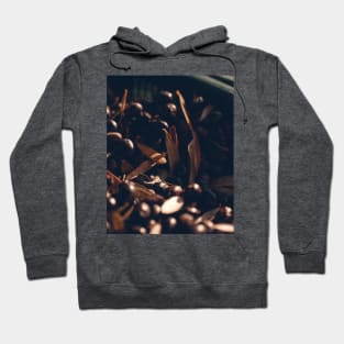 Olives Harvest Hoodie